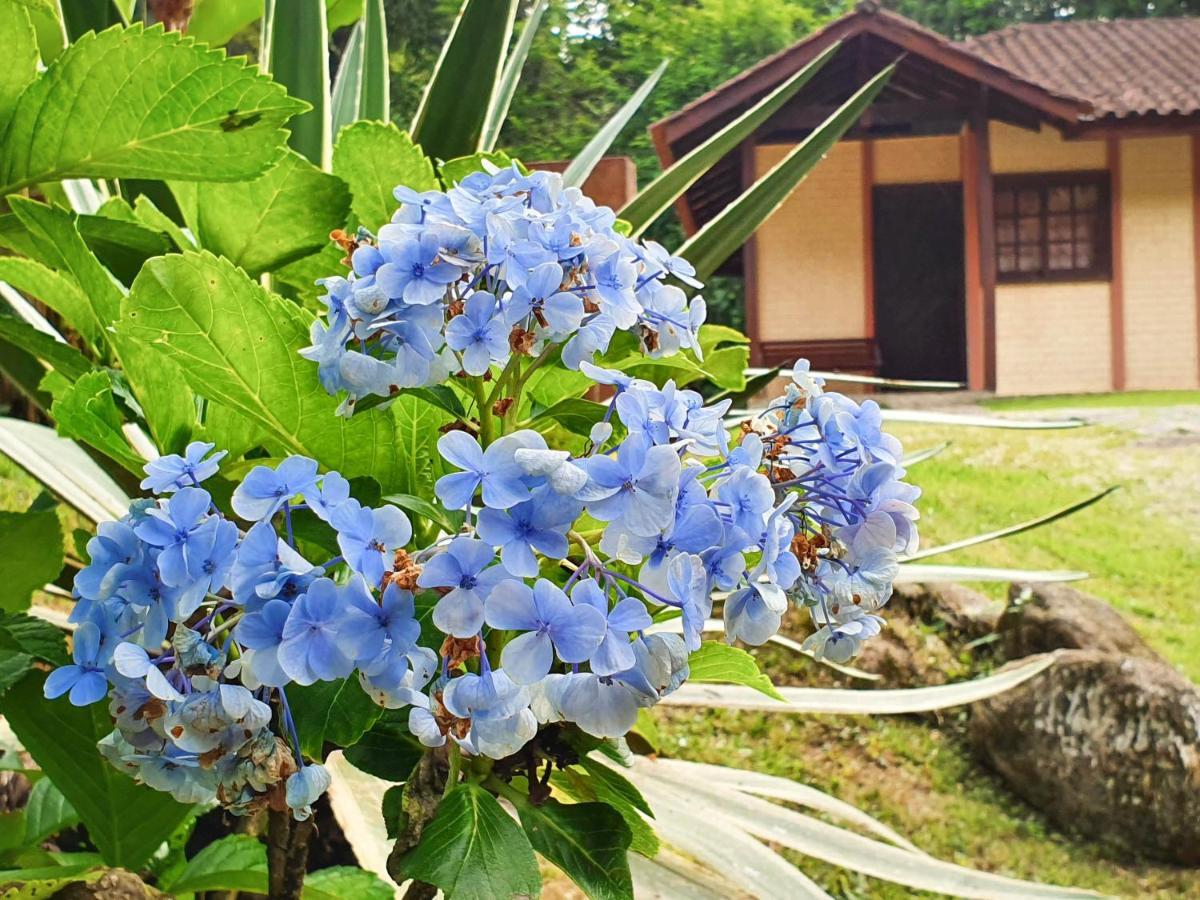 Pousada Canto Do Curio 파라티 외부 사진